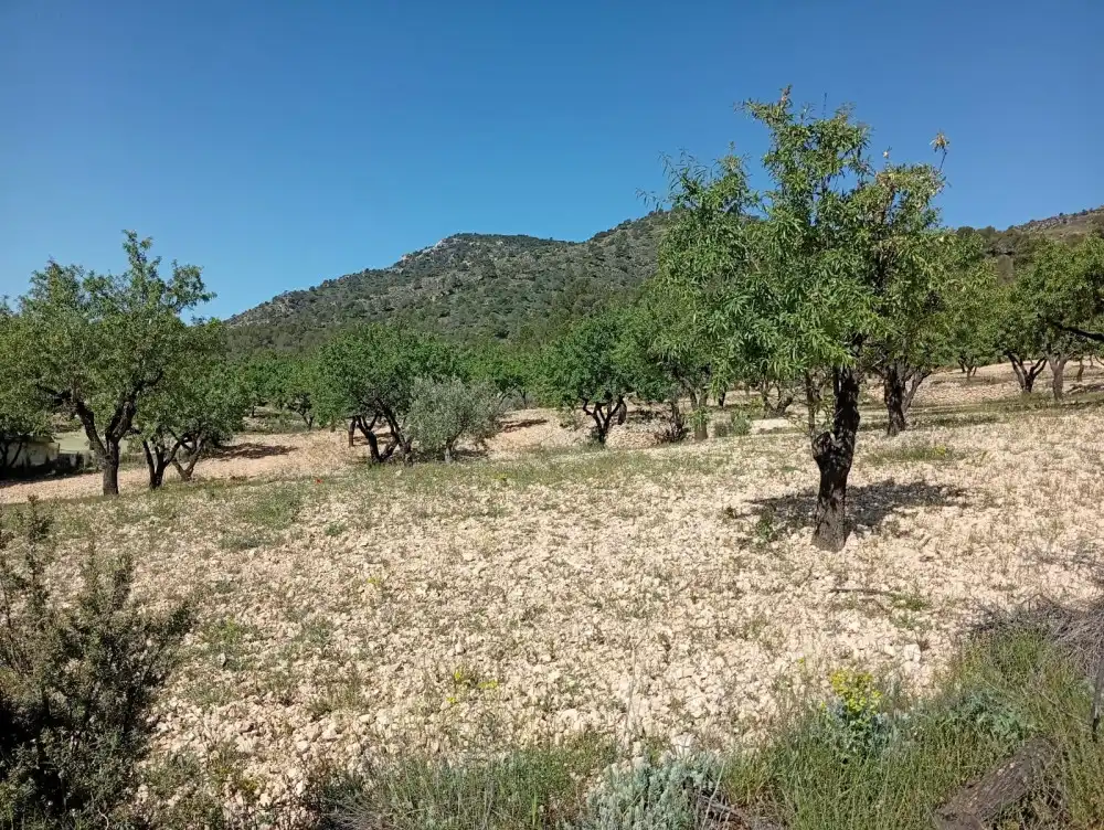 Piso en venta en Salinas
