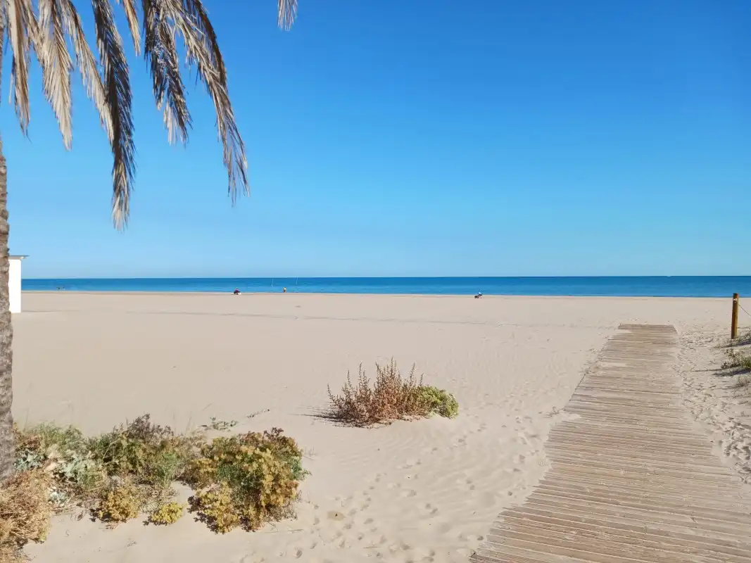 Vista exterior de Traster de lloguer en Gandia
