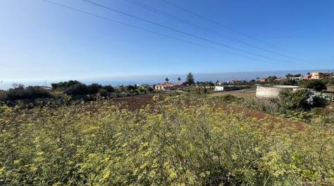 Foto 4 de Finca rústica en venda a Guayonje - Mesa del Mar, Santa Cruz de Tenerife