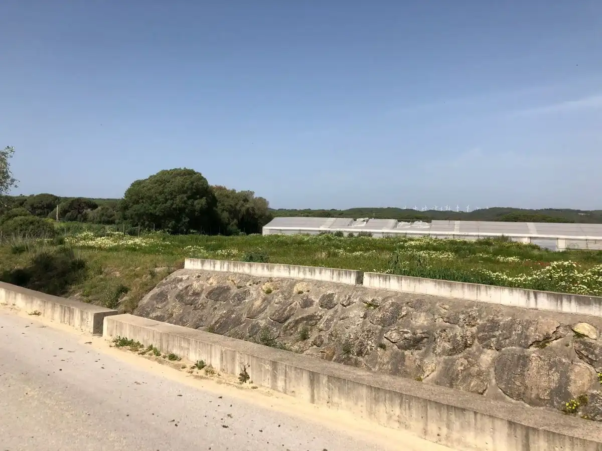 Terreni e lotti in vendita a Barbate ciudad, imagen 17