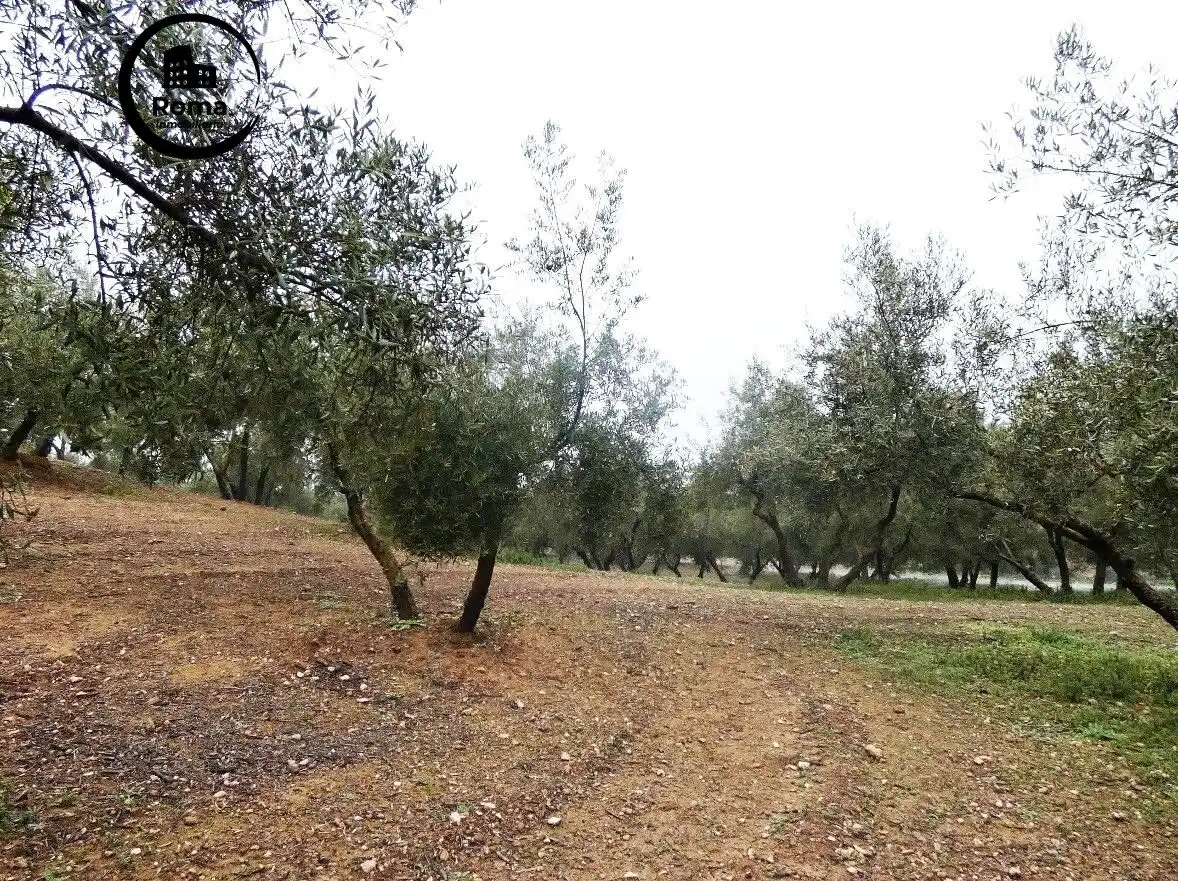 Terrain rustique à vendre à Peligros, imagen 4
