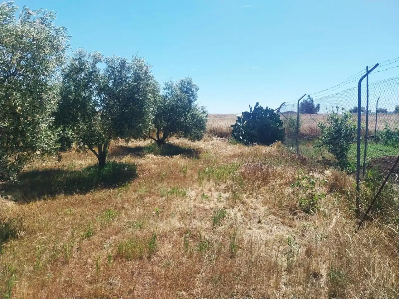 Grundstücke zum Verkauf in Hinojosa del Duque