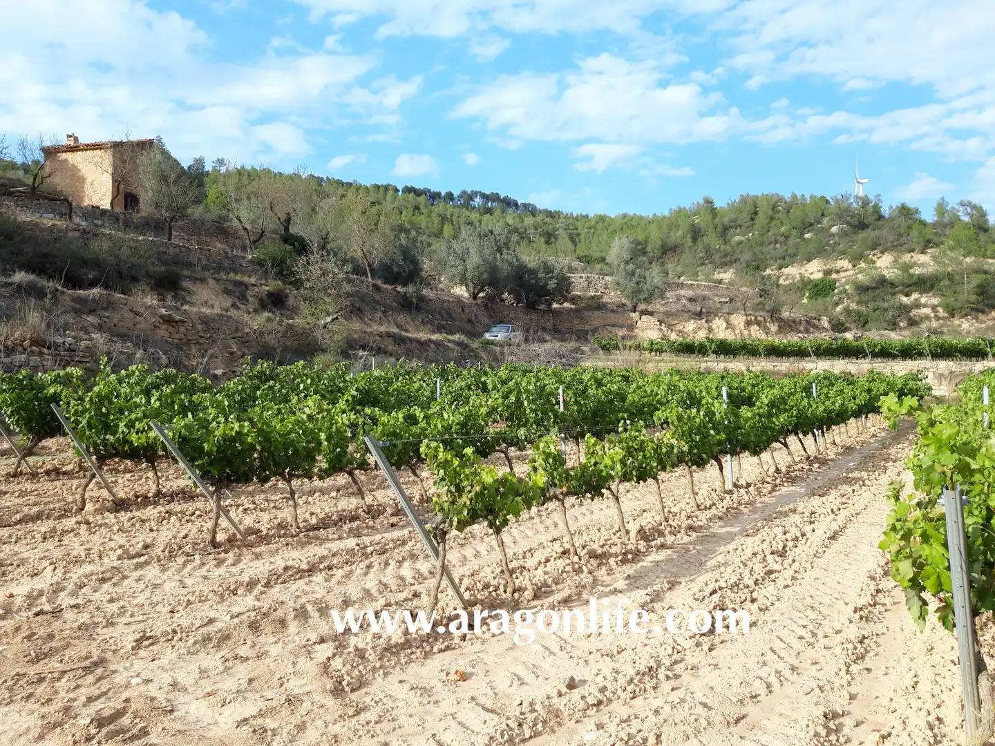 Finca rústica en venda en Caseres