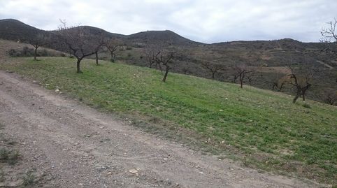 Foto 2 de Residencial en venda a Paraje Arroyo del Aceituno, Cantoria, Almería