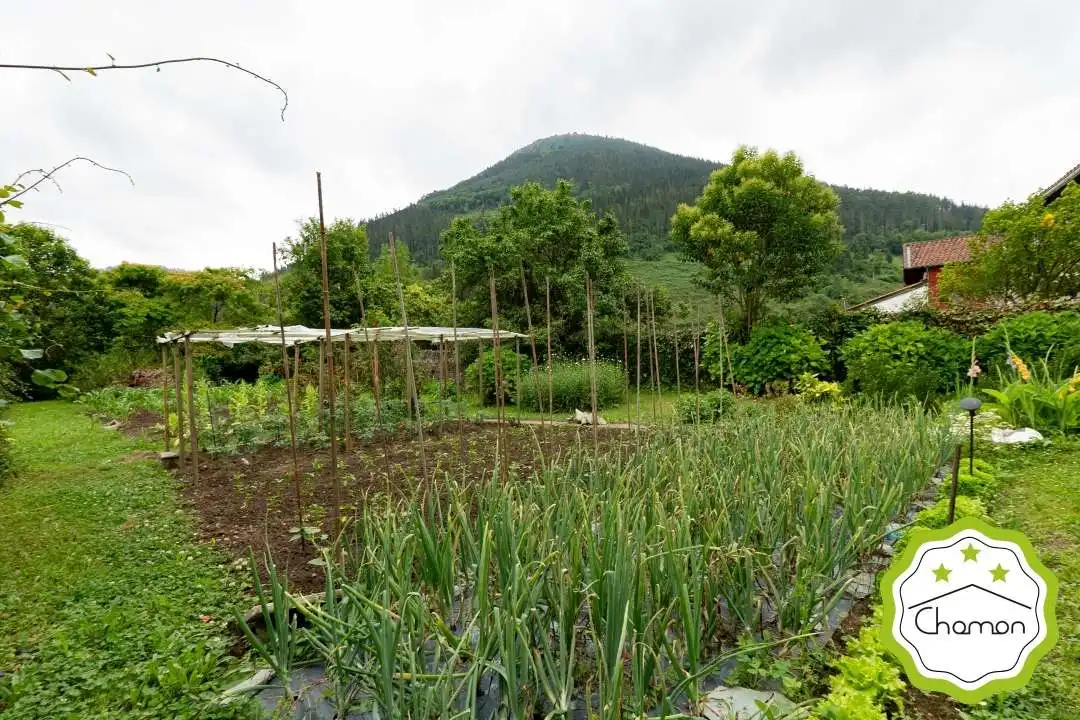 Casa o xalet en venda a Aulesti
