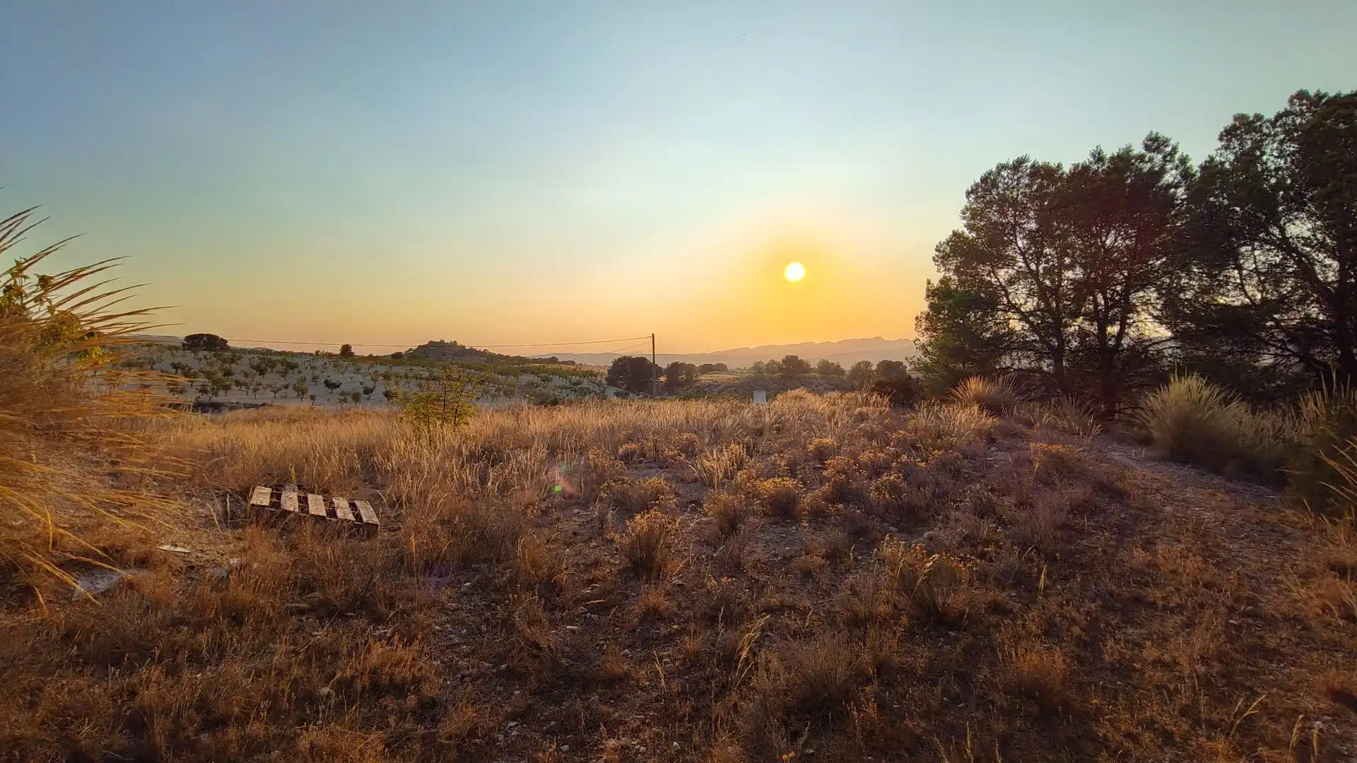 Terreno rustico in vendita a Jumilla, imagen 9