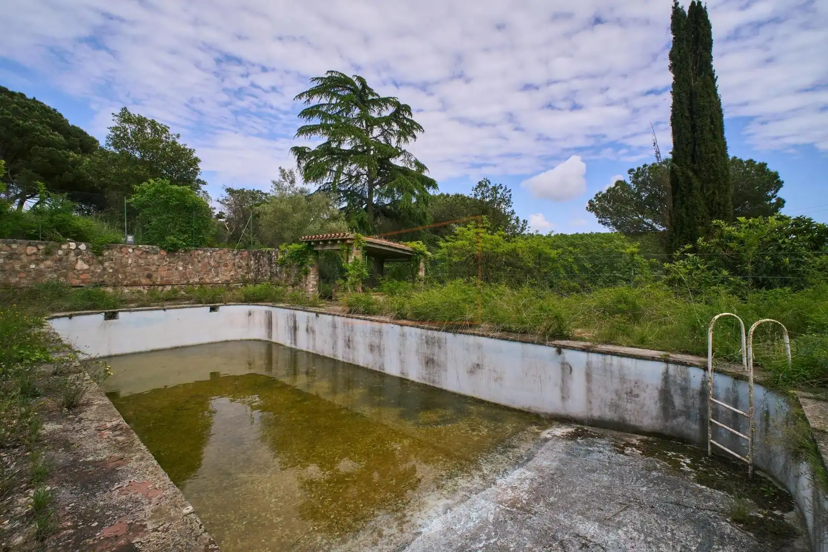 Piscina de Finca rústica en venda en Madrid amb Jardí privat