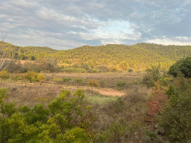Terreno en Venta en Arens de Lledó