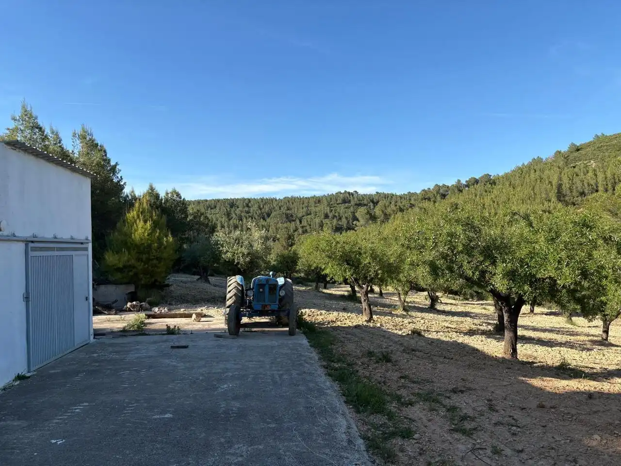Aparcament de Finca rústica en venda en Buñol amb Jardí privat, Terrassa i Traster