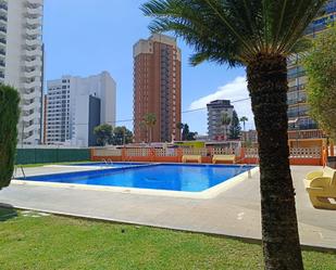 Piscina de Apartament en venda en Benidorm amb Piscina comunitària