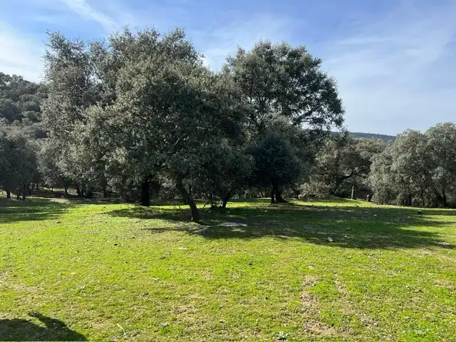 Terreno en venta en Almendral de la Cañada, Toledo