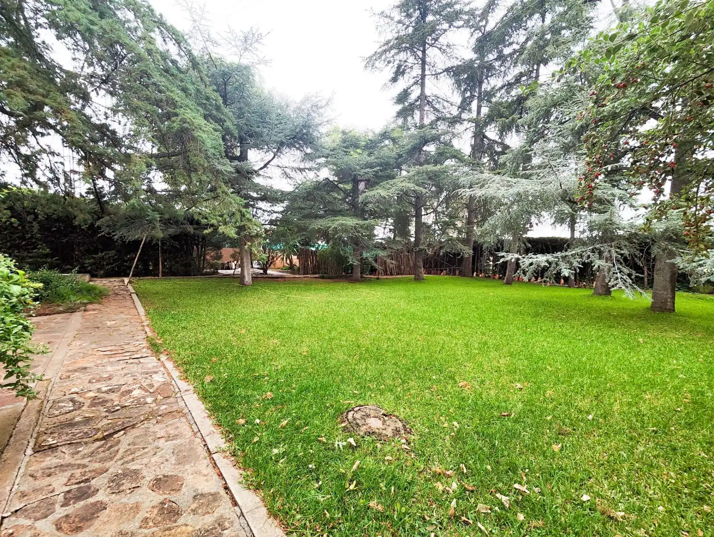 Casa o xalet en venda en Puertollano amb Aire condicionat, Calefacció i Jardí privat