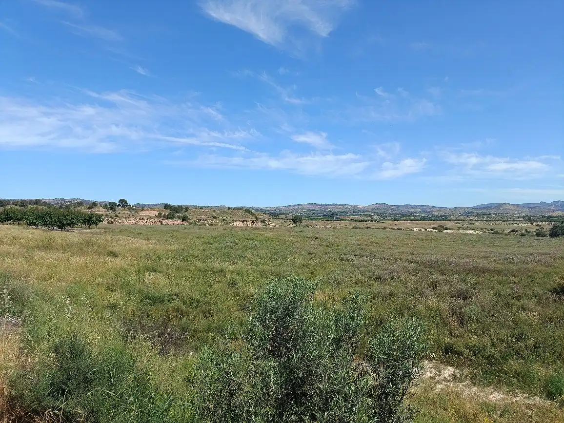 Lands and plots for sale in Mula, imagen 7
