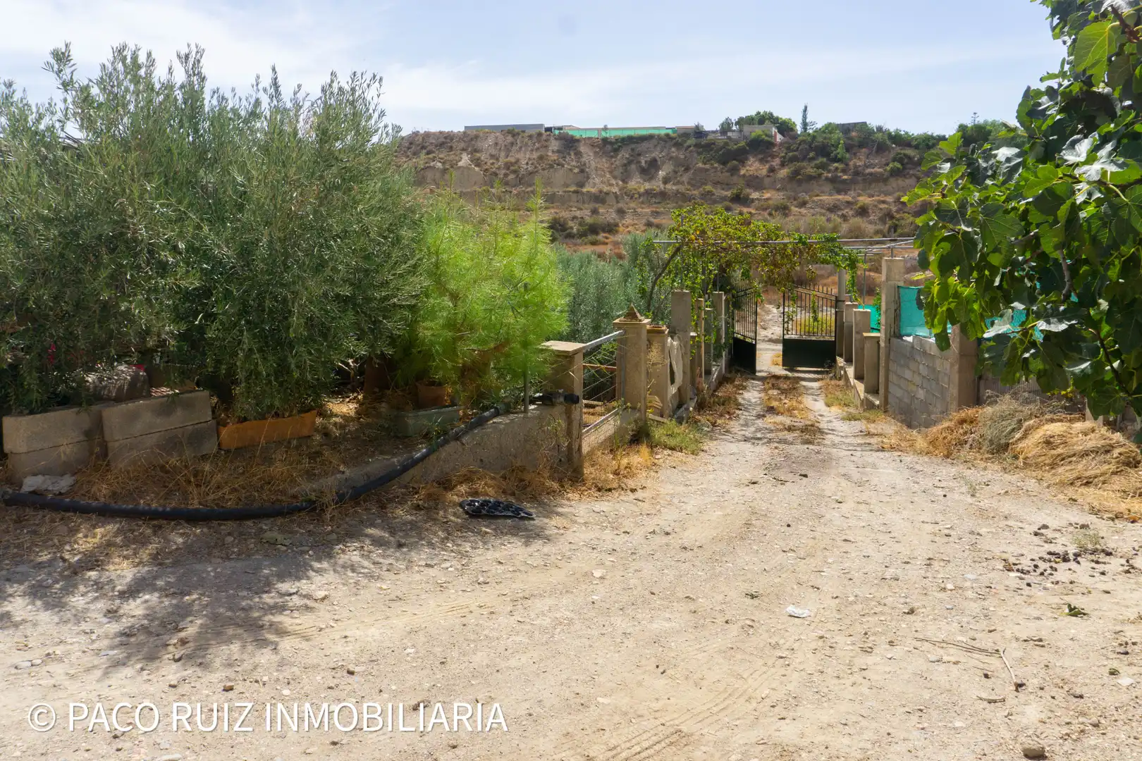 Terreno rustico in vendita a Rioja, imagen 14