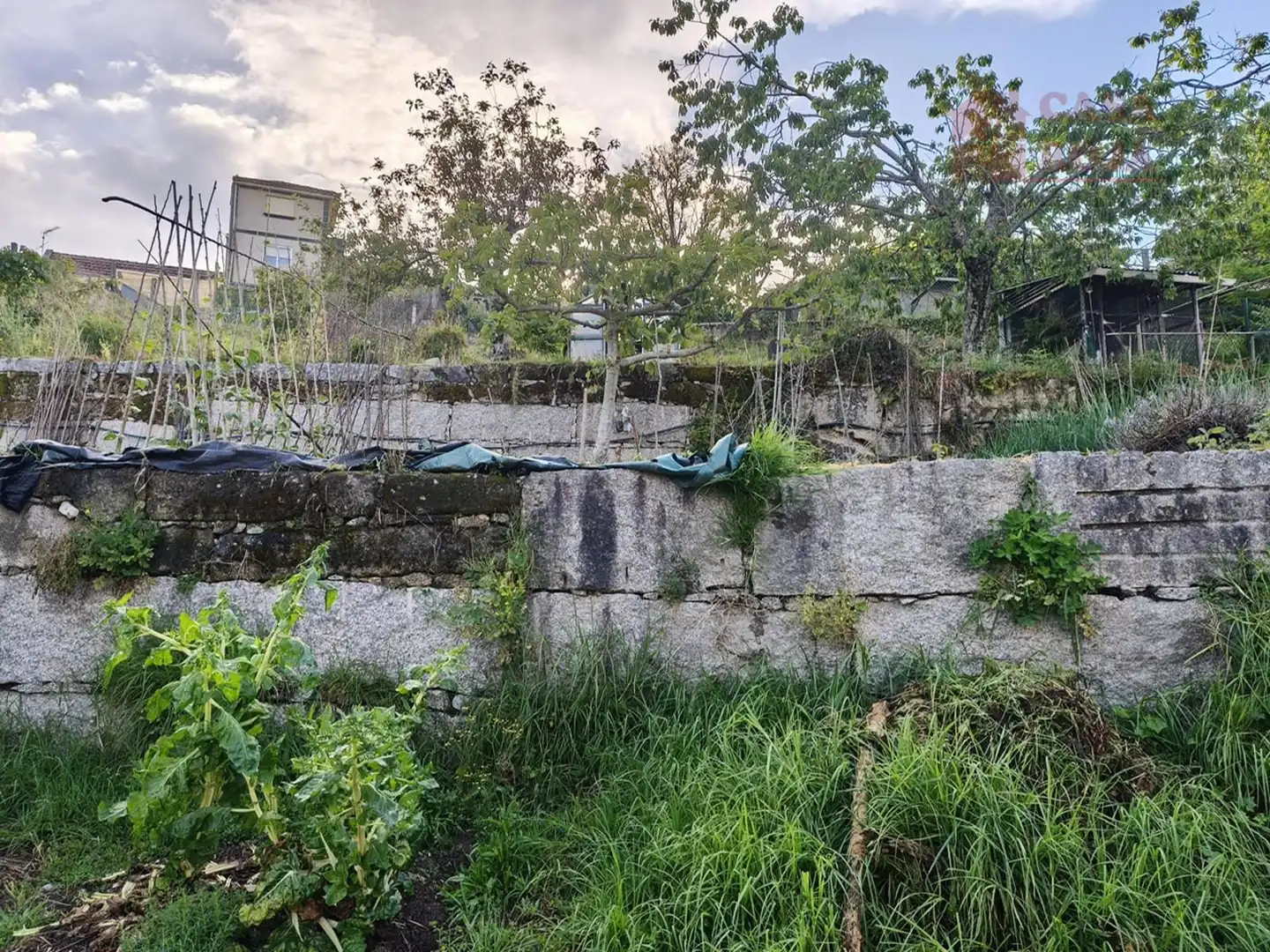 Terrain rustique à vendre à Moaña, imagen 11