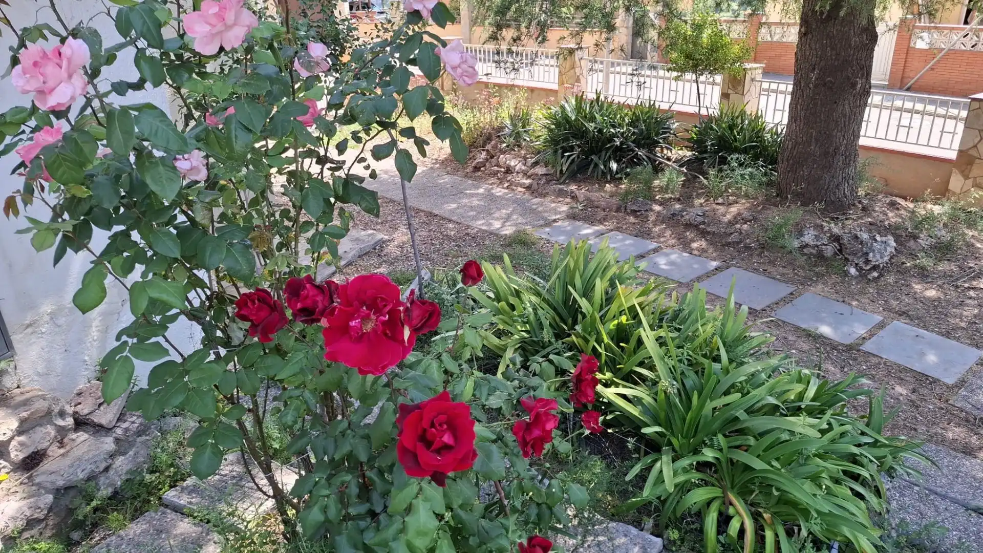 Jardín de Casa o chalet en venta en Vallirana con Aire acondicionado, Jardín privado y Terraza