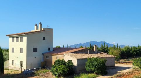 Gran Finca de cultivo de regadío de 23 Has con 3 viviendas y 2 almacenes, entre otras, imatge 5