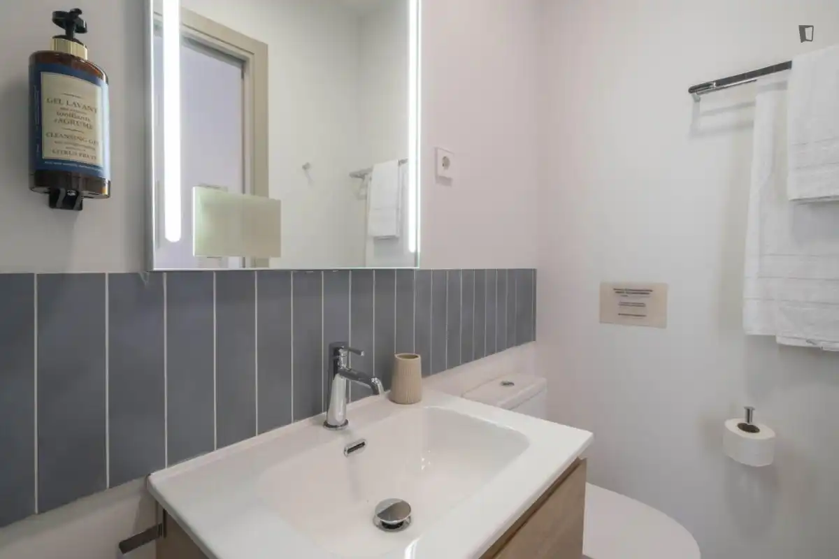Bathroom of Houses for share in Madrid  with Heating, Furnished and Oven
