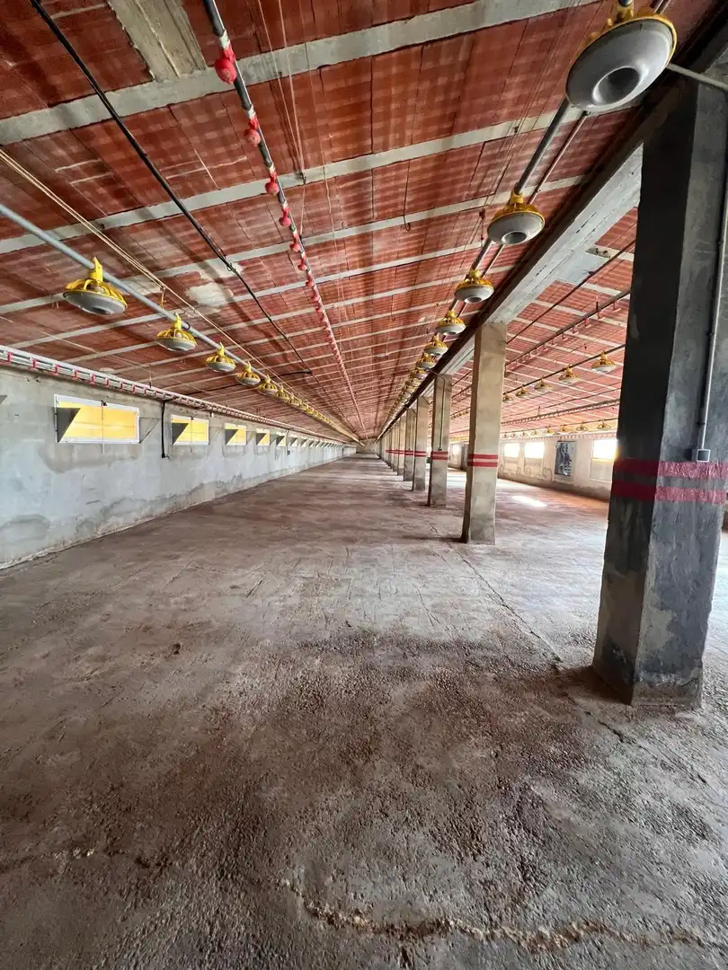 Nave industrial in vendita a Andilla, imagen 4