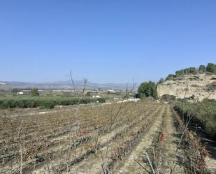 Finca rústica en venda en Ginestar