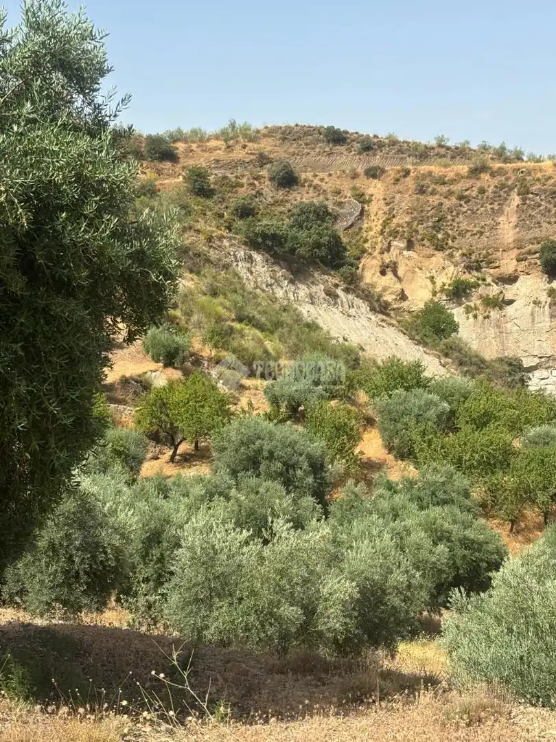 Land for sale in Quéntar