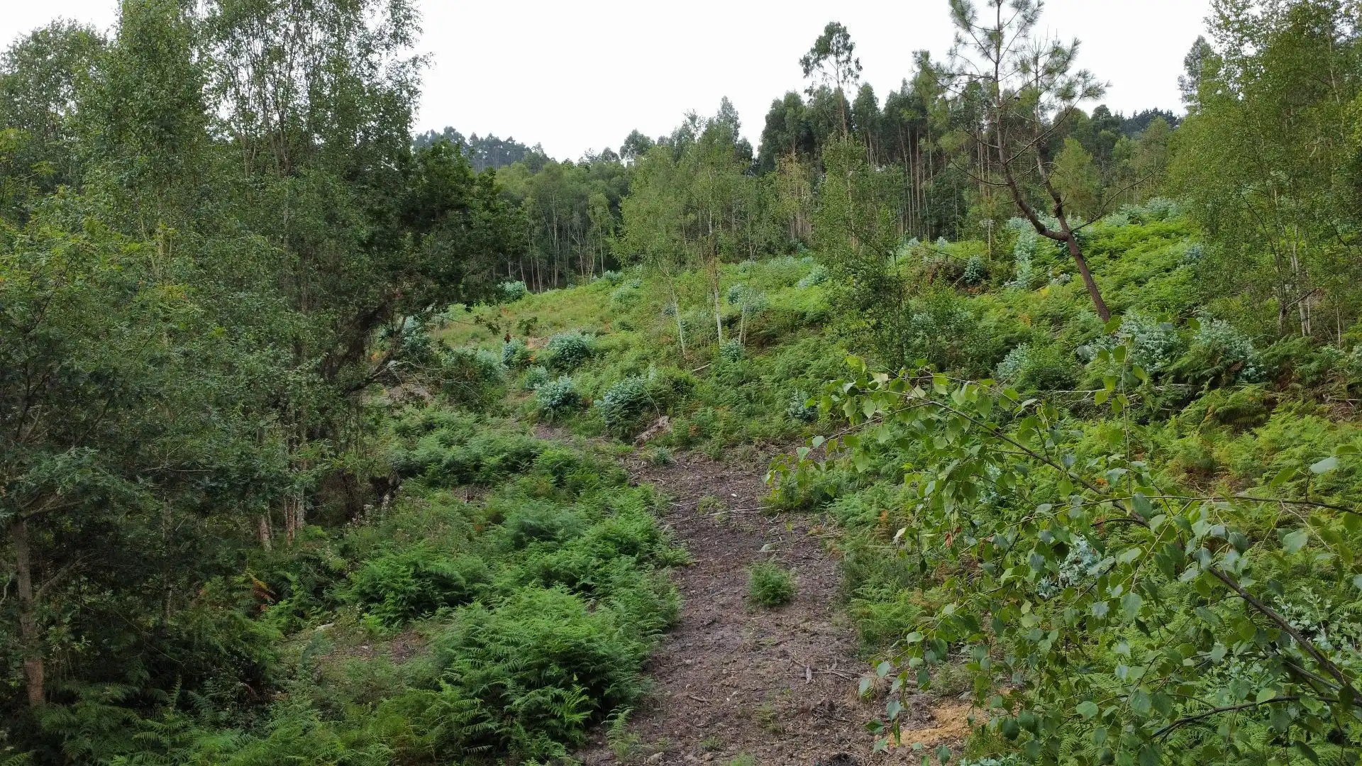 Terreno rustico in vendita a Pría - Nueva-Hontoria - Naves, imagen 2