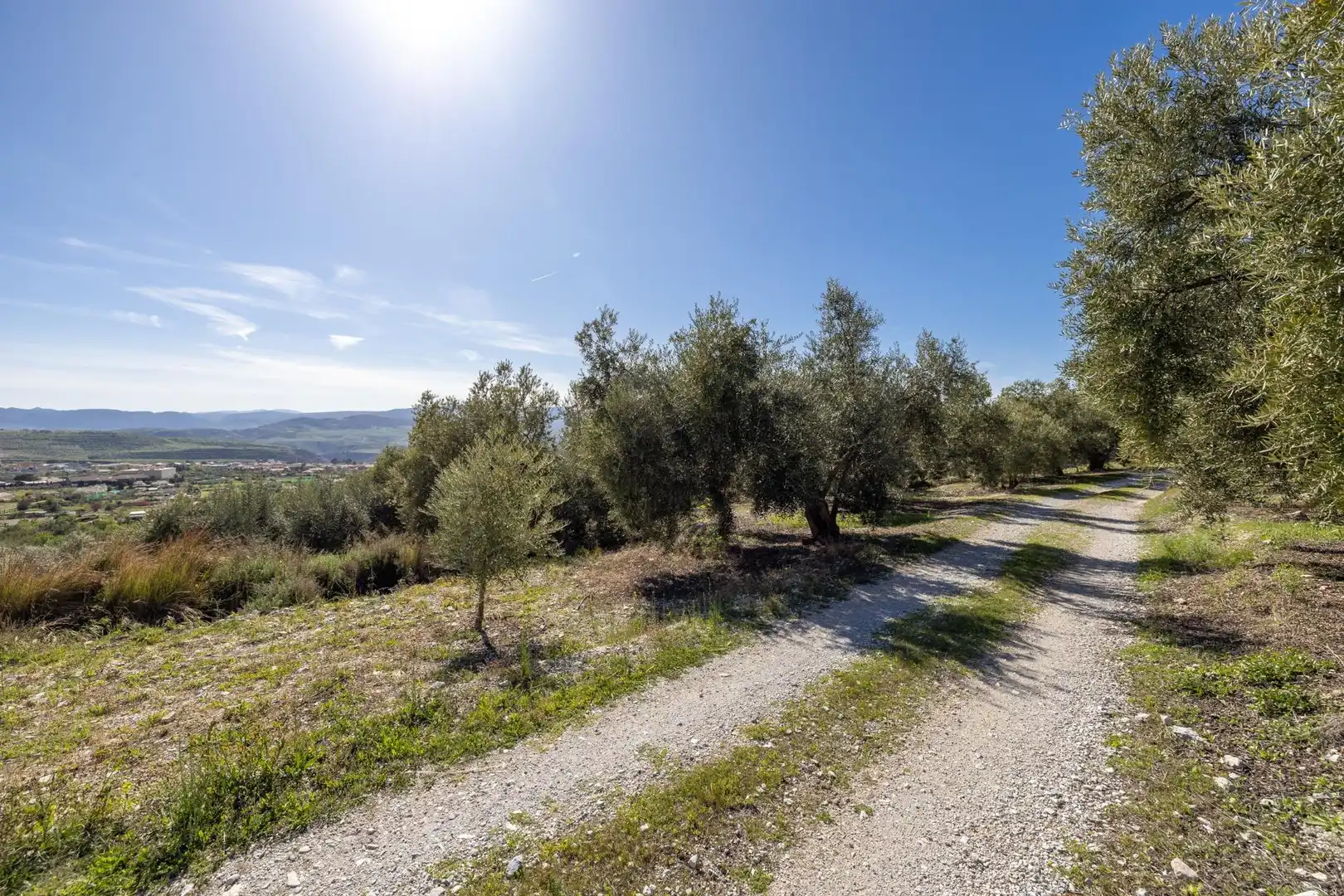 Terreni e lotti in vendita a Dúrcal, imagen 4