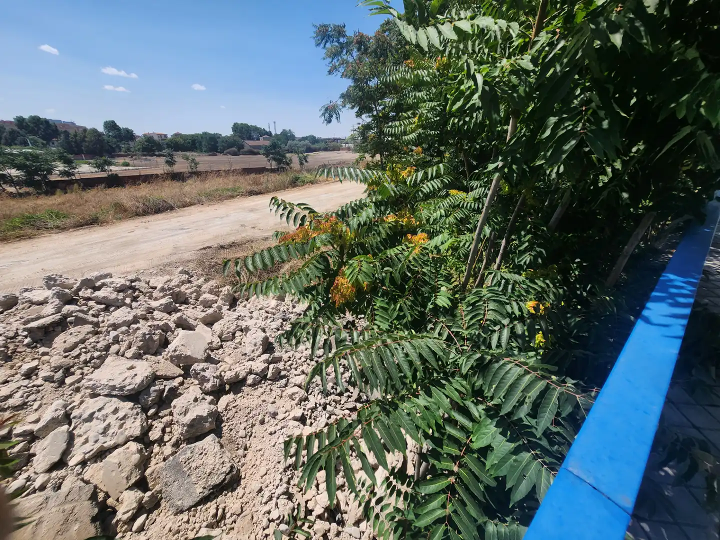Terreno residenziale in vendita a Marchamalo, imagen 55