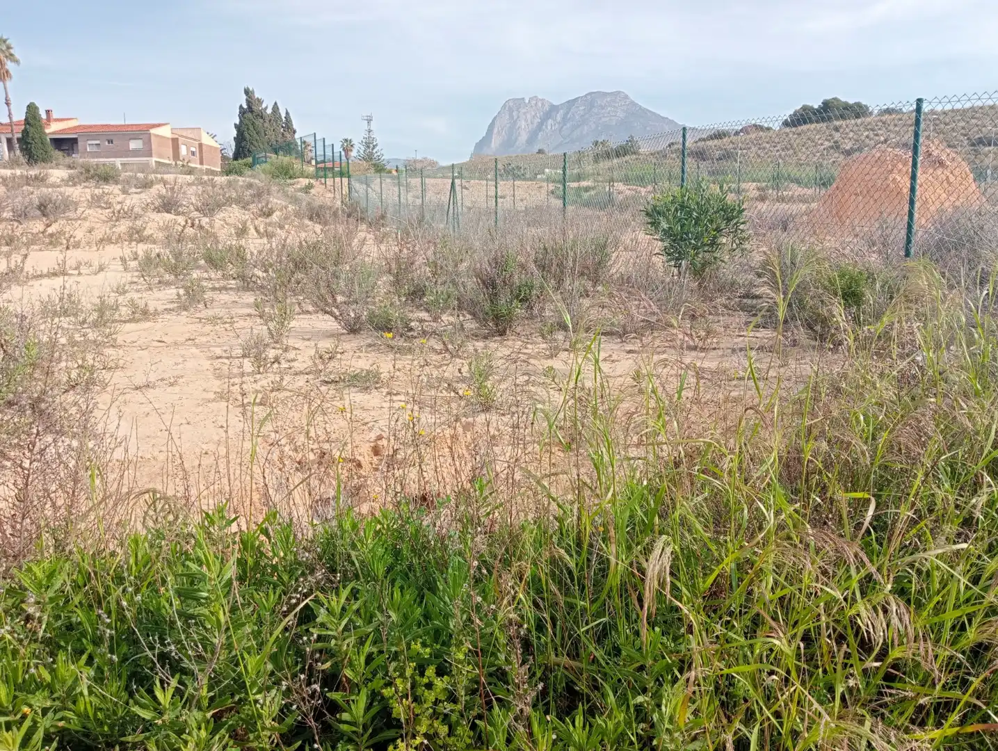 Terrenos y solares en venta en Platja de Torres, imagen 4