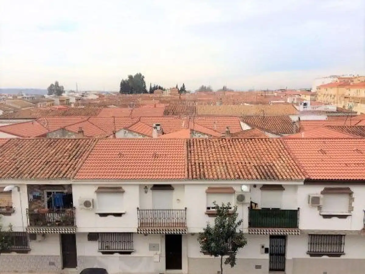 Pis de lloguer a doctor juan reyes, La Zarzuela - San José - Belén