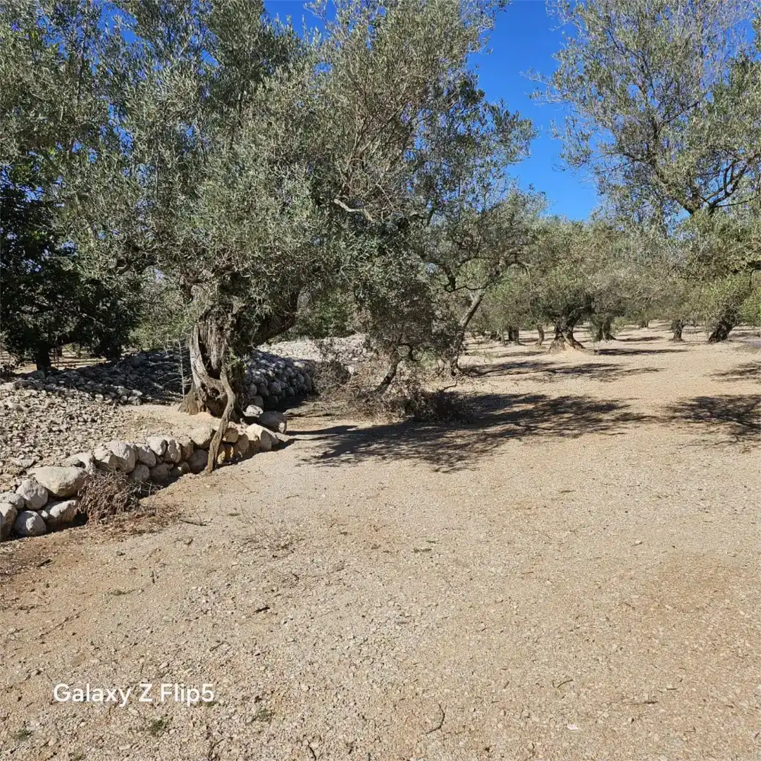 Grundstücke zum Verkauf in La Galera , Tarragona
