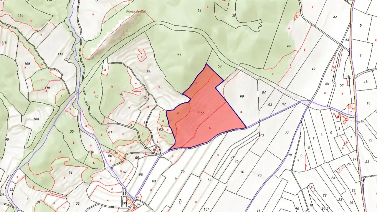 Rural land for sale in Pd Alciri, imagen 2