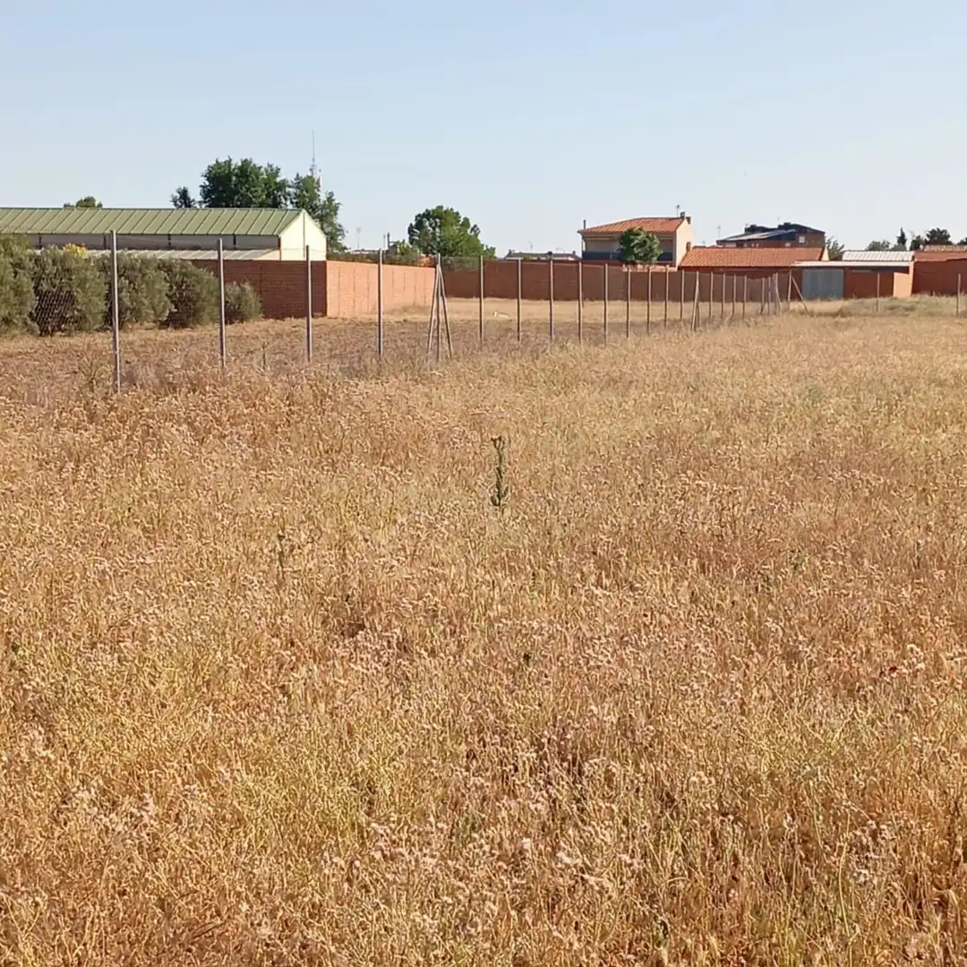 Terreny rústic en venda a Camino del Cuadrado 50, imagen 28