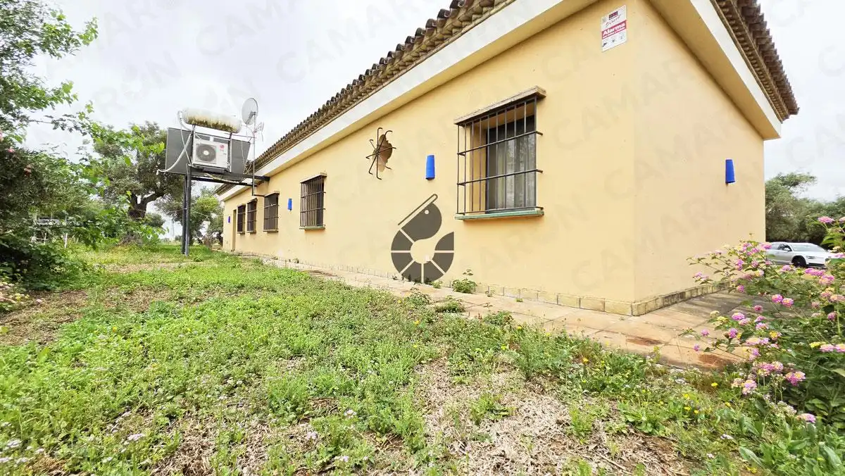 Vista exterior de Finca rústica en venta en Almensilla con Aire acondicionado y Jardín privado