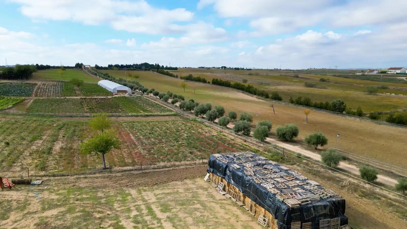 Grundstücke zum Verkauf in Olivares, Batres
