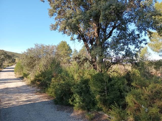 Terreno residencial en Venta en Llanorel  en Macastre