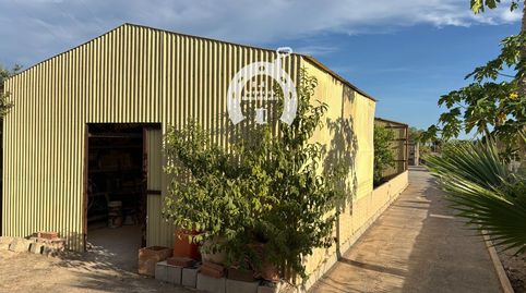 Foto 2 von Fabrikhallen zum Verkauf in Torrellano, Elche / Elx
