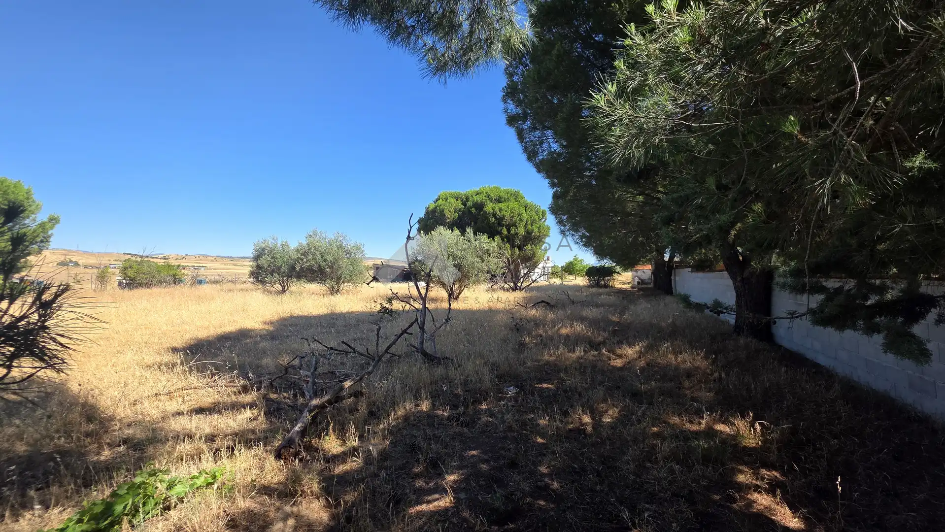 Casa rústica en venta en El Molar (Madrid), imagen 15