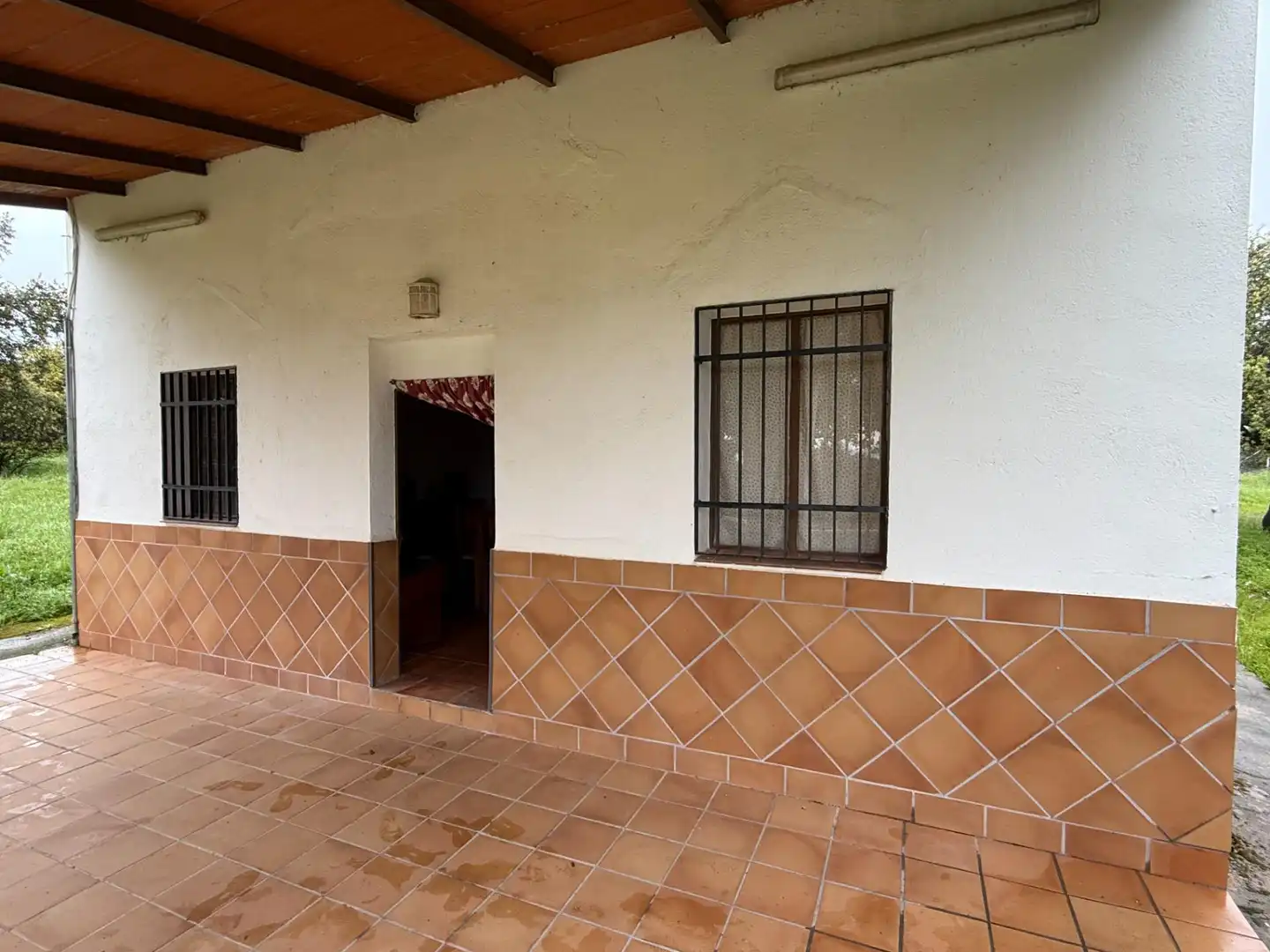 Terreny rústic en venda a Polígono POLíGONO 20 PARAJE 160 DEHESA DE ALFILEJO 25, imagen 10