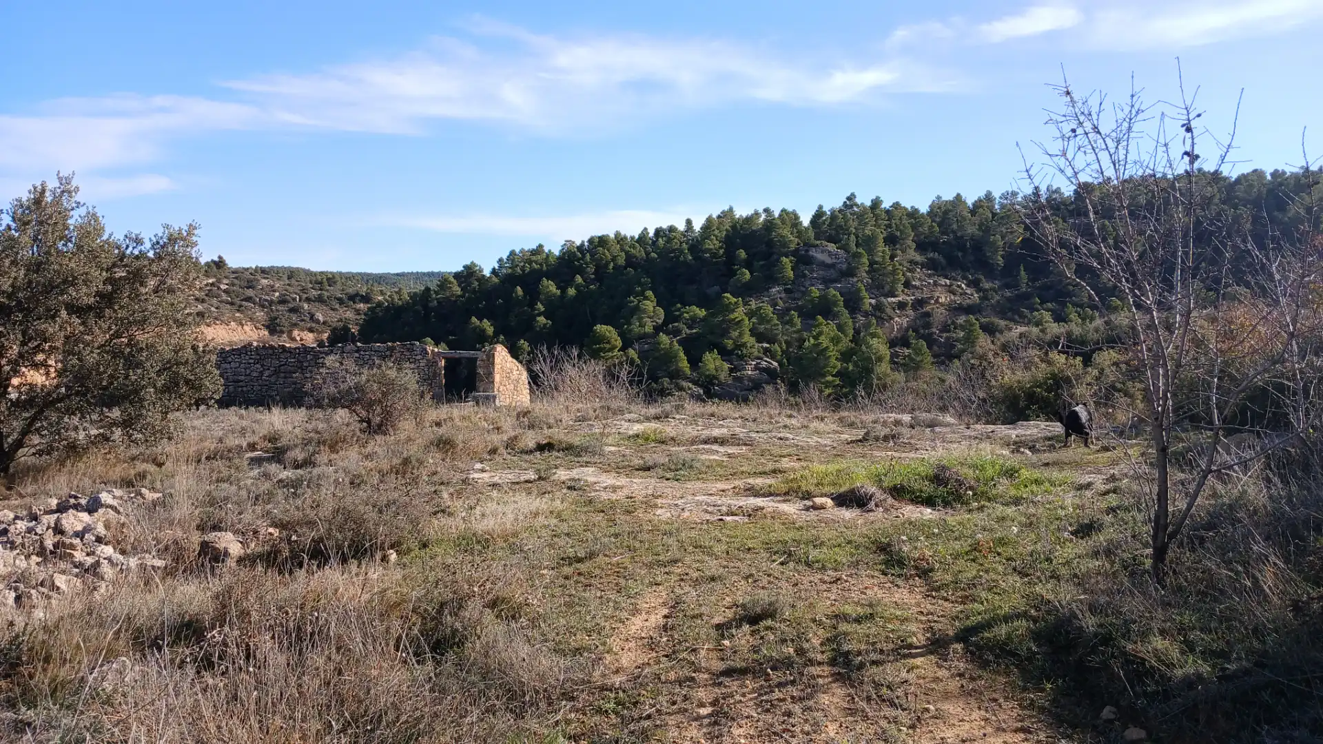 Terreni e lotti in vendita a Camino Fuente 5, imagen 11