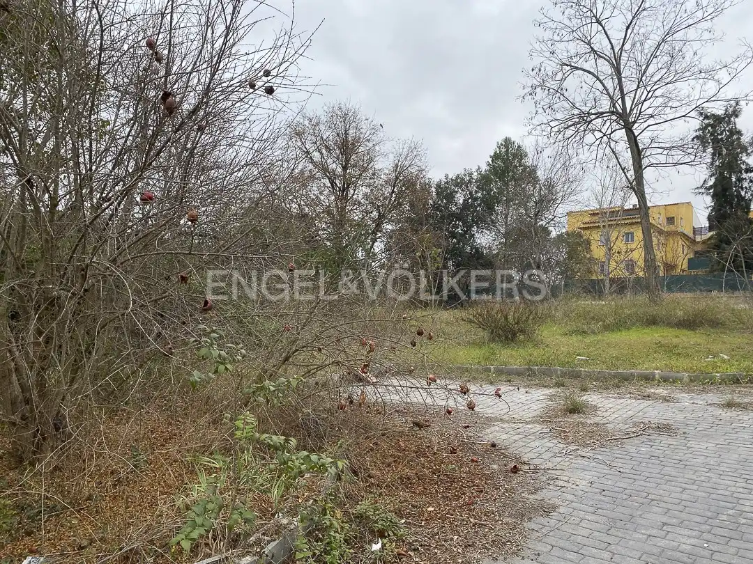 Terreny residencial en venda a Bellaterra, imagen 3