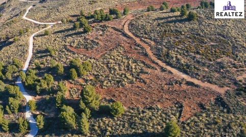 Gran finca rústica en venta en Alcolea, imatge 3