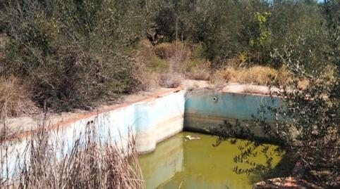 Foto 5 de Terreny de lloguer a Carrer de la Purissima, 21, Alcalà de Xivert pueblo, Alcalà de Xivert