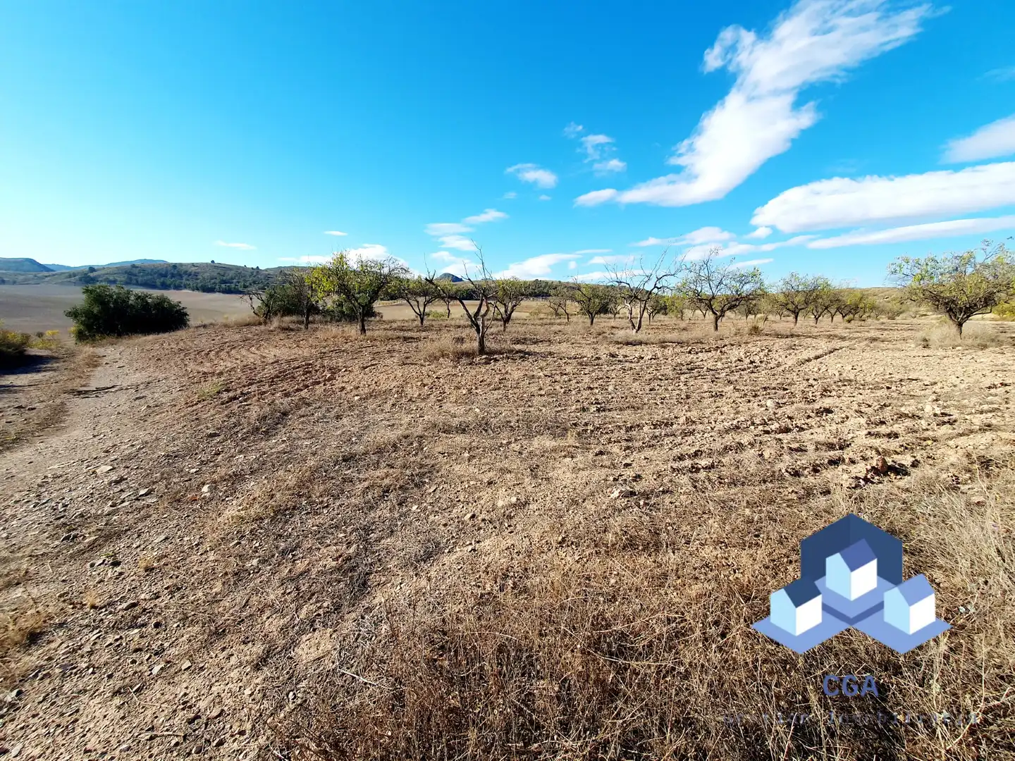 Country homes for sale in Lorca