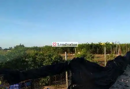 Land for sale in Gandia