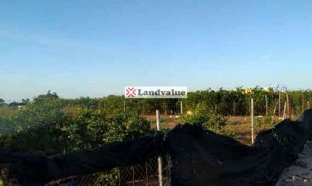 Photo 5 of Land for sale in Camí de la Caseta del Guarda, Playa de Gandia, Gandia