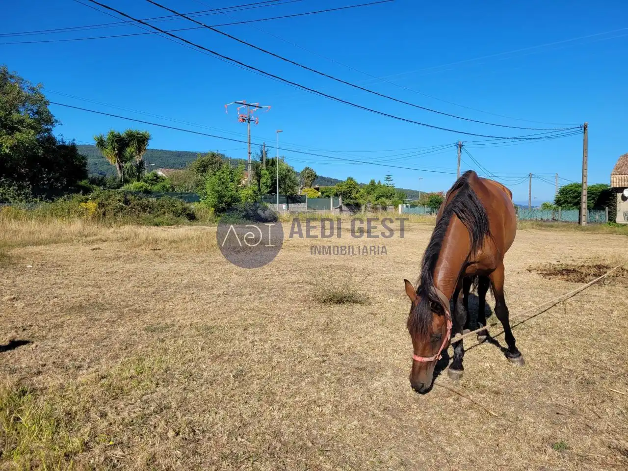 Terreno residencial en venta en Gándara, imagen 3