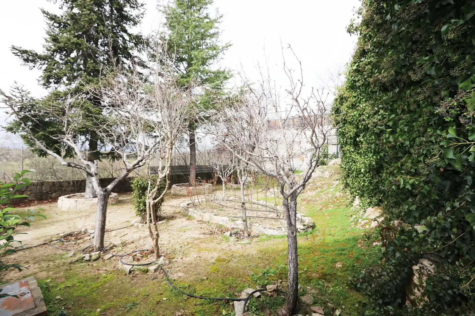 Jardín de Casa o chalet en venta en Colmenarejo con Calefacción, Terraza y Trastero