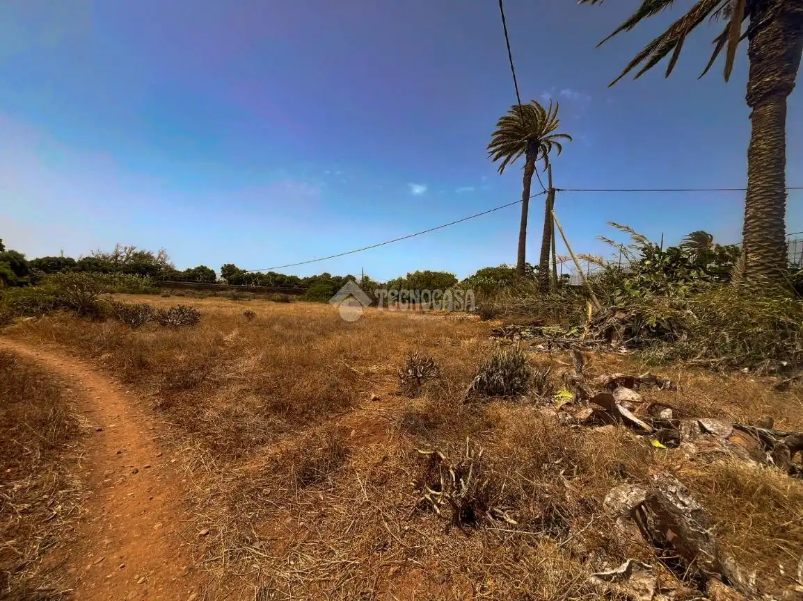 Rural land for sale in Ingenio pueblo, imagen 3