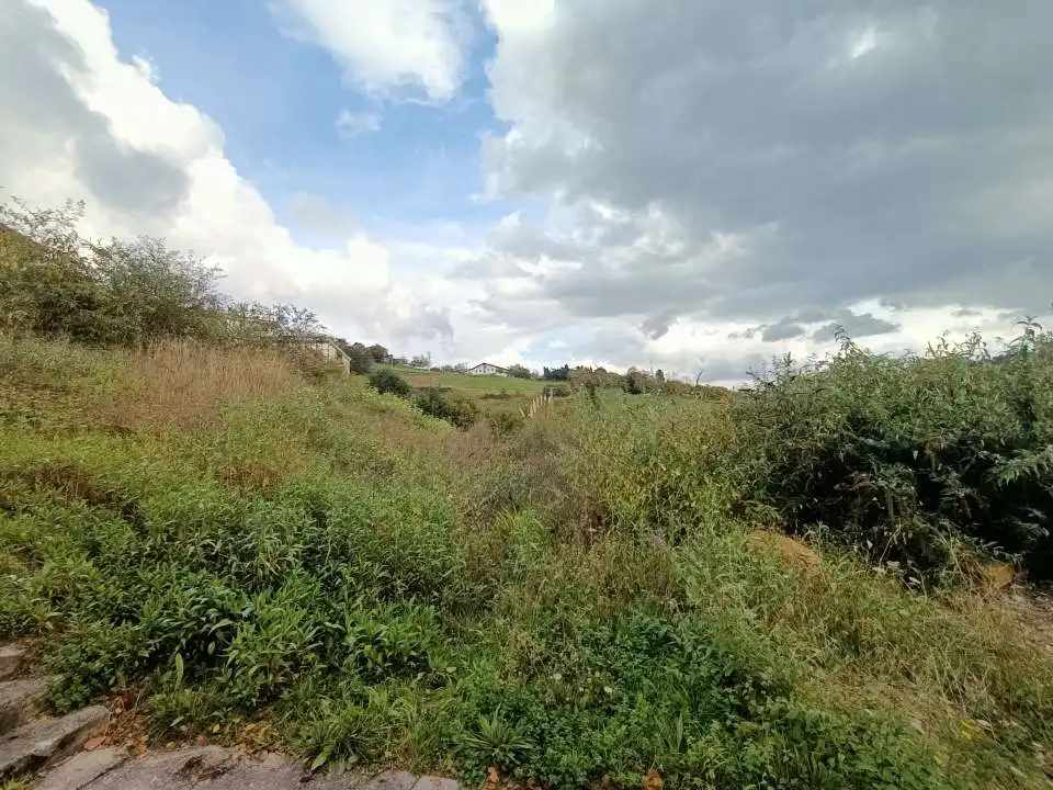 Terreno residenziale in vendita a Mallabia, imagen 11